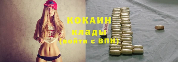 крисы Нягань
