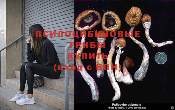 эйфоретик Нязепетровск