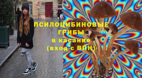 крисы Нягань