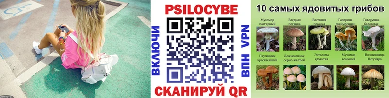 Галлюциногенные грибы GOLDEN TEACHER  где купить наркоту  Печора 