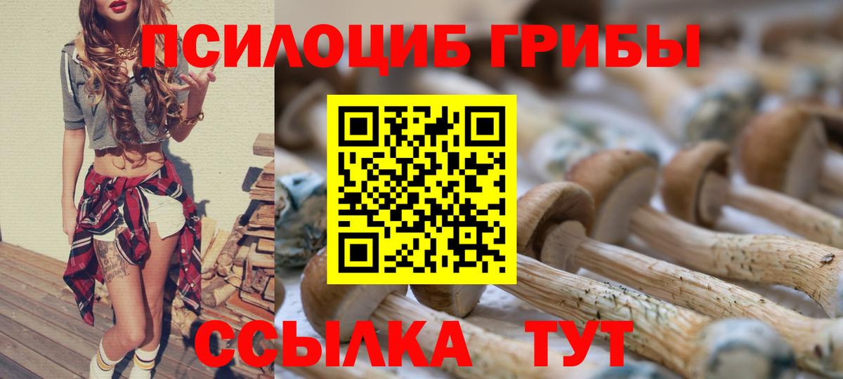 Галлюциногенные грибы Psilocybine cubensis  Галлюциногенные грибы Psilocybe  дарнет шоп  Печора 