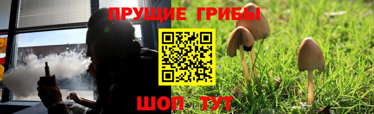 Галлюциногенные грибы прущие грибы Печора