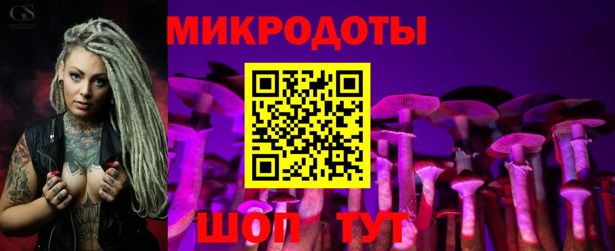 Галлюциногенные грибы Psilocybine cubensis Печора