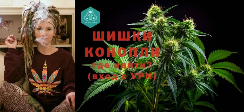 МАРИХУАНА Ganja  Печора 