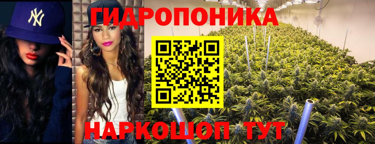 Конопля Ganja Печора
